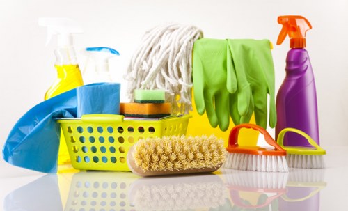 Domestic cleaner working in a Wimbledon home in SW19