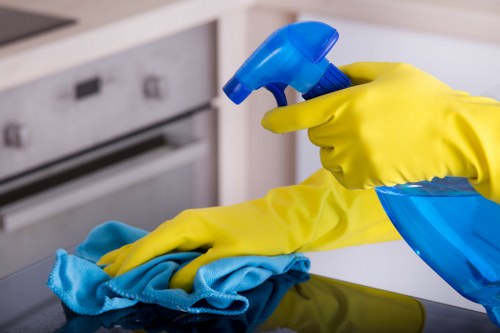 Removing lingering pet smells from carpets and rugs in SW19
