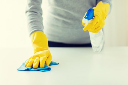 Professional mattress cleaning service for homes in SW19