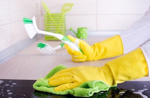 Professional cleaner inspecting carpet condition before treatment