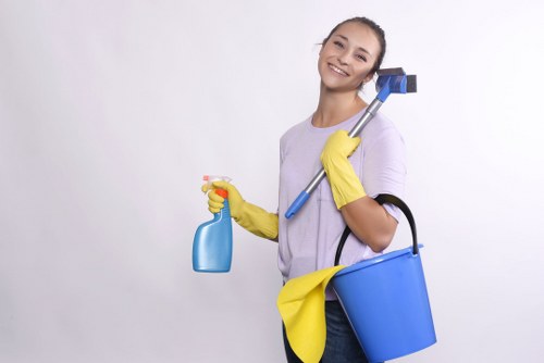 Office cleaner maintaining a professional workplace in SW19