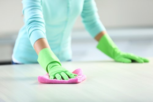 Domestic cleaner carrying out kitchen and bathroom cleaning in Wimbledon area
