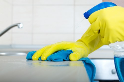 Local window cleaner serving flats and houses in SW19