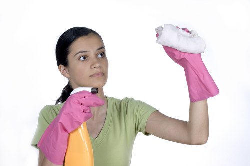 Professional treatment of pet odour in a Wimbledon area home