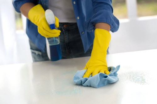 Professional deep cleaning in SW19 for bathrooms and high-touch areas