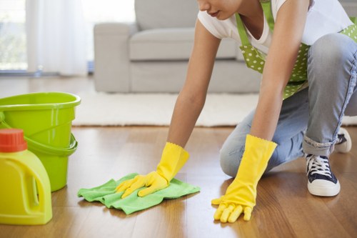 Detailed cleaning of a bathroom before move in
